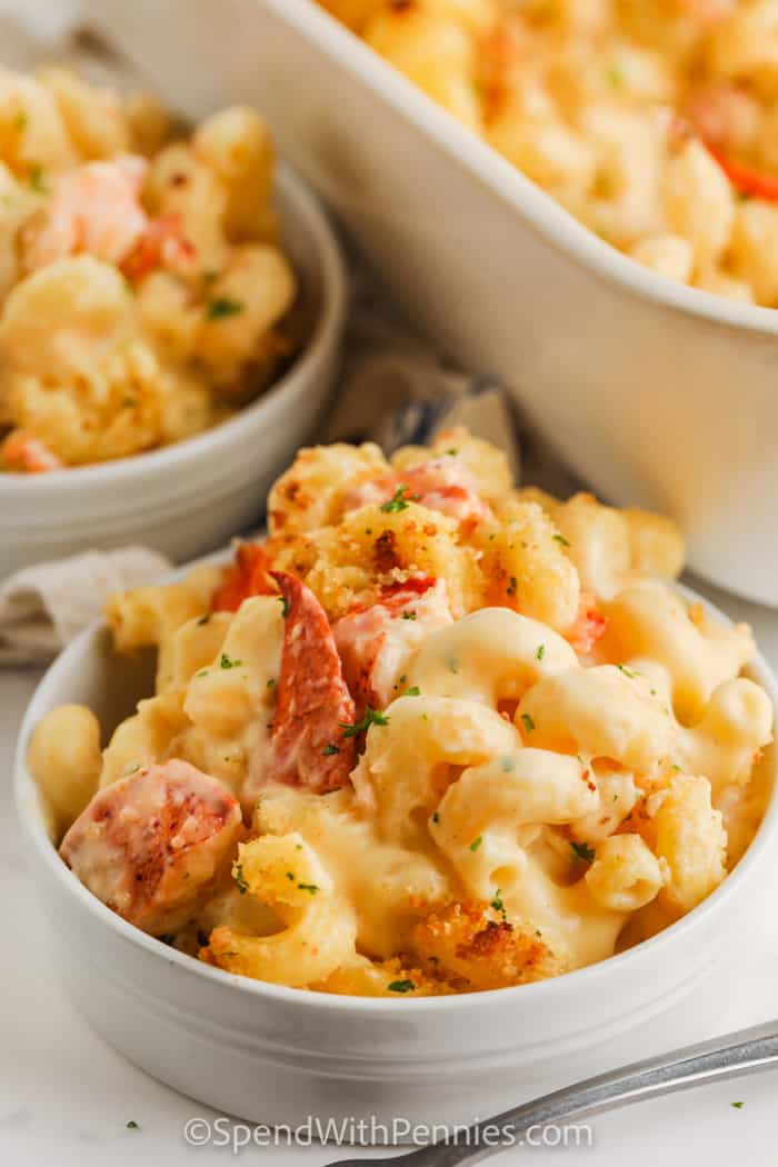 Economical Lobster Mac and Cheese: Tips for a Rich, Flavorful Dish